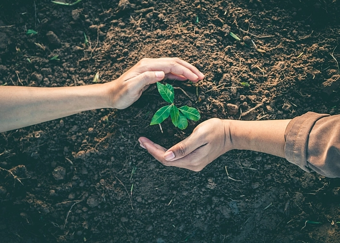 Compromiso ambiental y reciclaje responsable.